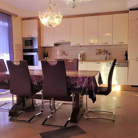 Modern Holiday In Dalmatia With Private Terrace 洛瓦尼斯卡